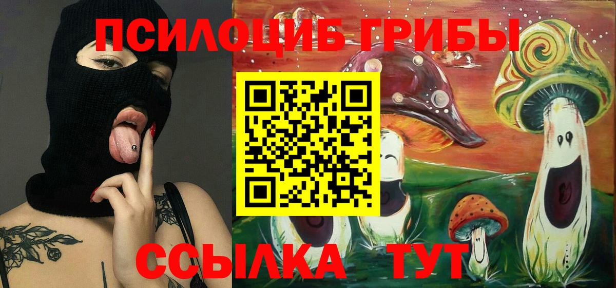 Псилоцибиновые грибы мицелий  Галлюциногенные грибы MAGIC MUSHROOMS  Алейск  Вход с VPN 