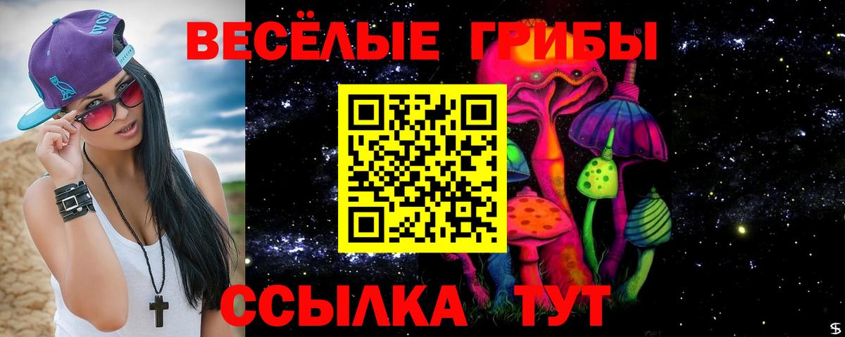 Псилоцибиновые грибы Psilocybine cubensis Алейск